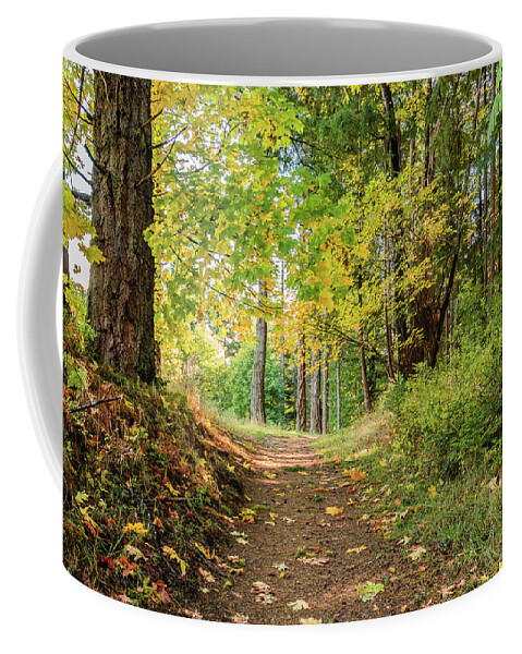 Landscapes Coffee Mug featuring the photograph Fallen Leaves by Claude Dalley