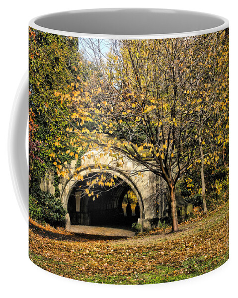 Fall Coffee Mug featuring the photograph Fallen by Onedayoneimage Photography