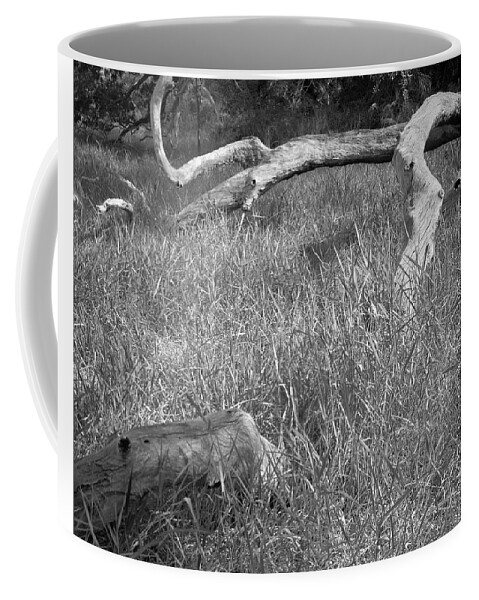 Guana Tolomato Matanzas Reserve Coffee Mug featuring the photograph Fallen Tree 2 - Guana River by John Simmons