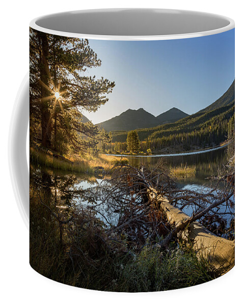 Colorado Coffee Mug featuring the photograph Fallen Tree at Sprague Lade by Tim Stanley