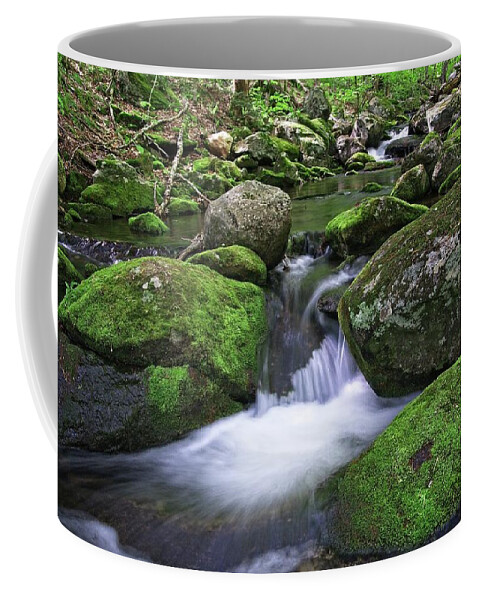 Waterfall Coffee Mug featuring the photograph Falls Brook Rushes by Allan Van Gasbeck