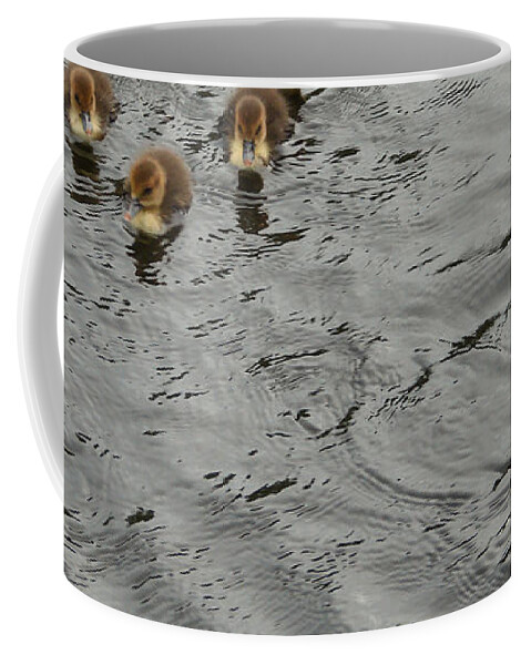 Duck Coffee Mug featuring the photograph Family Gathering by Carl Moore