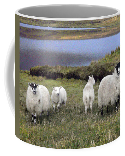 Sheep Coffee Mug featuring the digital art Family of Sheep by Vicki Lea Eggen