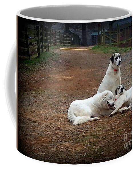 Dogs Coffee Mug featuring the photograph Family Portrait by Rabiah Seminole