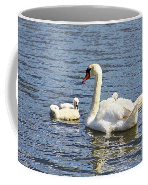 Swan Coffee Mug featuring the photograph Family Time by Alyce Taylor