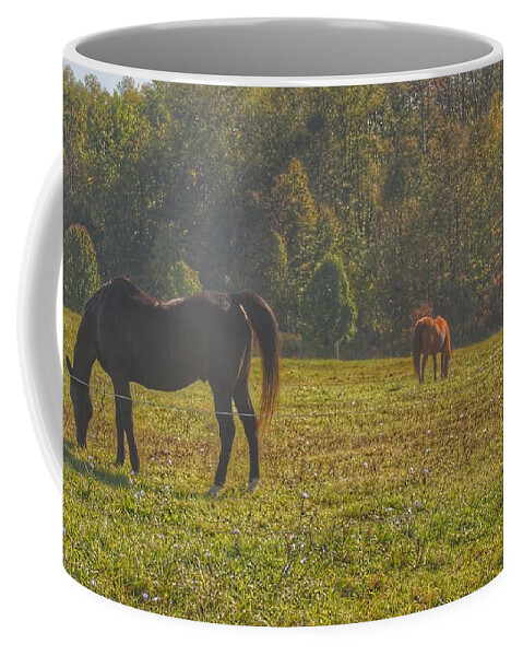 Horses Coffee Mug featuring the photograph 1012 - Fargo Road Horses I by Sheryl L Sutter
