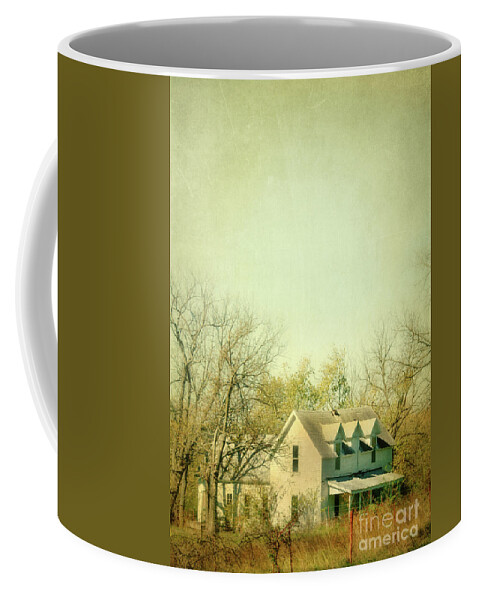 Farmhouse Coffee Mug featuring the photograph Farmhouse in Arkansas by Jill Battaglia