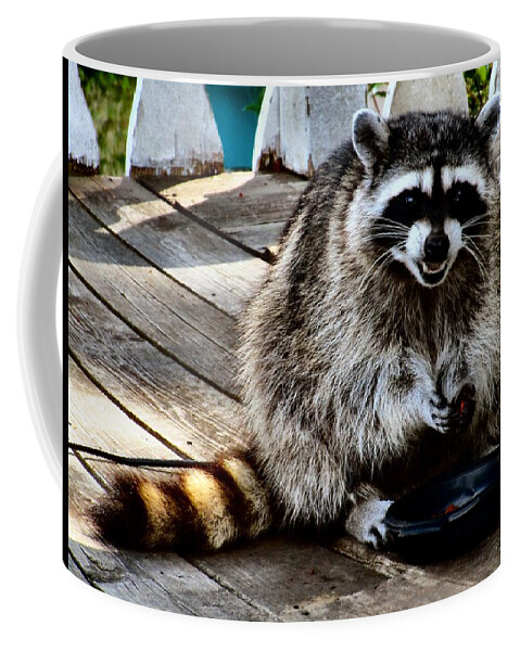 Raccoons Coffee Mug featuring the photograph Fat Coon by A L Sadie Reneau