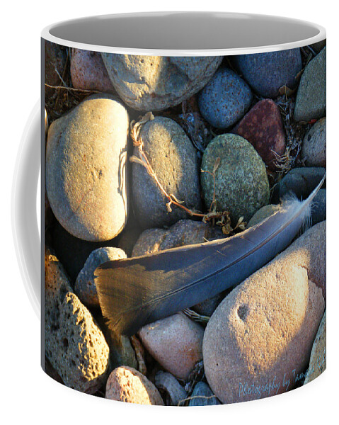 Tamara Kulish Coffee Mug featuring the photograph Feather on Rocks by Tamara Kulish