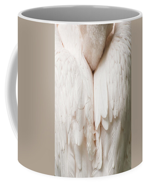 Eastern White Pelican Coffee Mug featuring the photograph Feathers by Kuni Photography