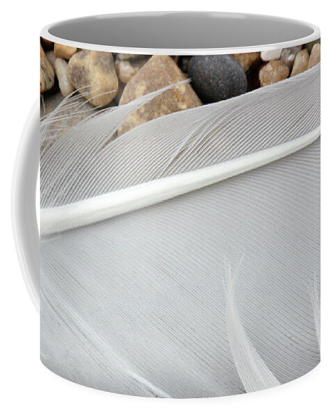 Mary Bedy Coffee Mug featuring the photograph Feathers on the Beach 1 by Mary Bedy