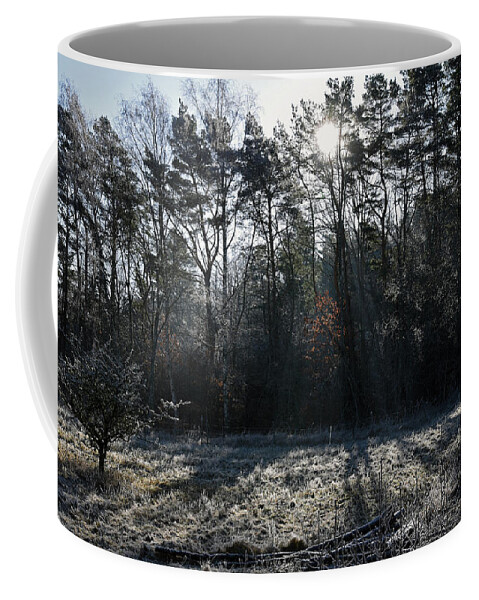 Sweden Coffee Mug featuring the pyrography February morning by Magnus Haellquist