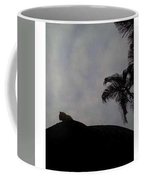 Colors Coffee Mug featuring the photograph Feline

from
caturday
by
david by David Cardona