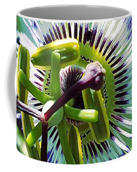 Flower Coffee Mug featuring the photograph Female Flower by Maria Aduke Alabi