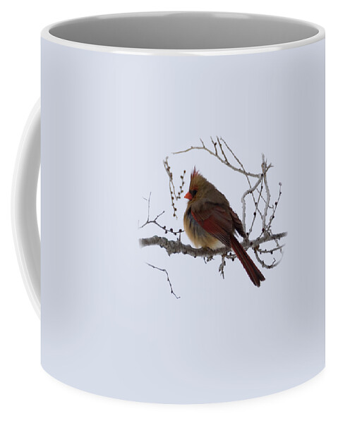 Northern Cardinal Coffee Mug featuring the photograph Female Northern Cardinal by Holden The Moment