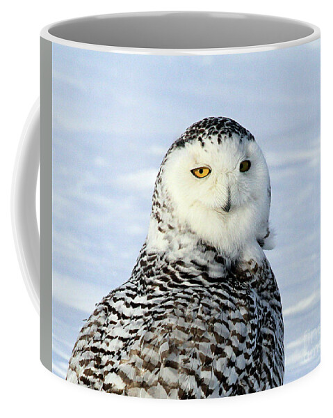 Owl Coffee Mug featuring the photograph Female Snowy Owl by Paula Guttilla