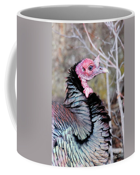 Female Wild Turkey Coffee Mug featuring the photograph Female Wild Turkey by Alyce Taylor