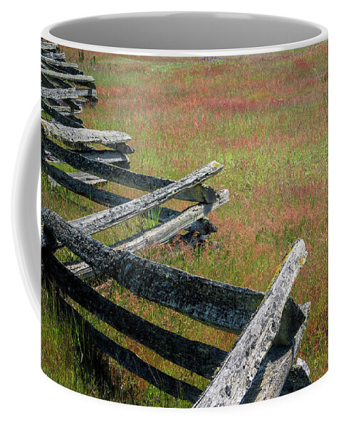 Oregon Coast Coffee Mug featuring the photograph Fence And Field by Tom Singleton