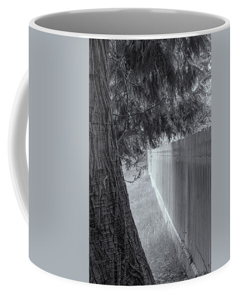 Oregon Coast Coffee Mug featuring the photograph Fence In Black And White by Tom Singleton