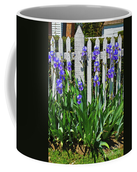 Picket Coffee Mug featuring the photograph Fence in Purple by George D Gordon III