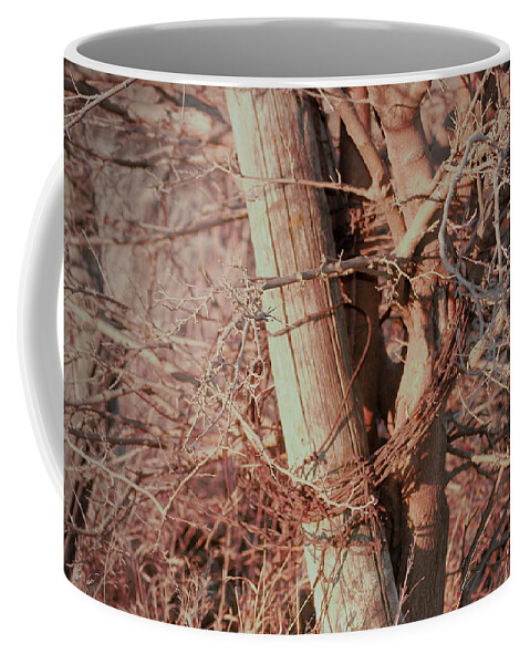 Fence Coffee Mug featuring the photograph Fence Post Buddy by Troy Stapek