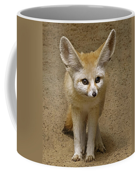 Fennec Fox Coffee Mug featuring the photograph Fennec Fox by Wes and Dotty Weber