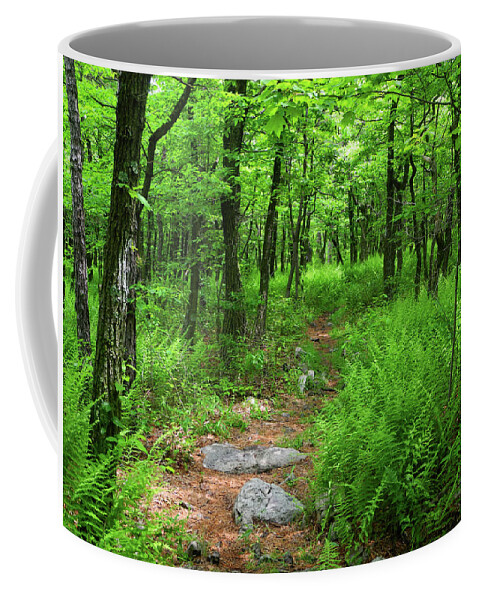 Ferns Above Lehigh Gap Coffee Mug featuring the photograph Ferns Above Lehigh Gap by Raymond Salani III