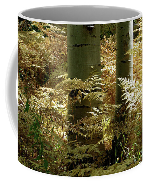 Aspens Coffee Mug featuring the photograph Ferns and Aspens by Carol Milisen