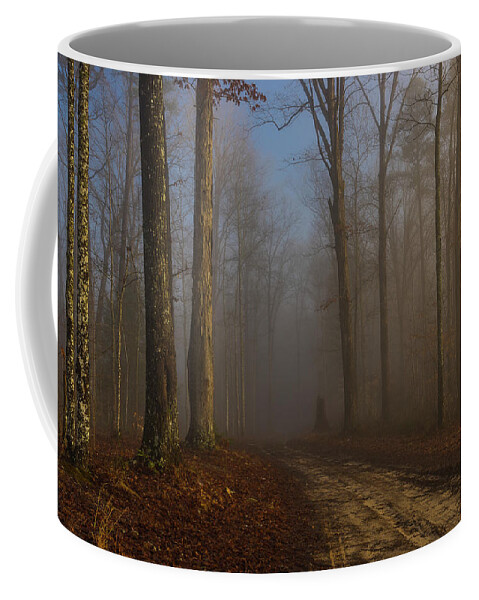  Coffee Mug featuring the photograph Foggy morning in the forest by Ulrich Burkhalter