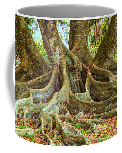 Roots Coffee Mug featuring the photograph Ficus Roots by Rosalie Scanlon