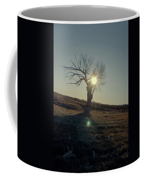 Tree Coffee Mug featuring the photograph Field and Tree by Troy Stapek