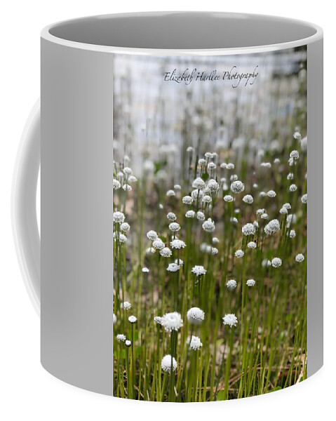  Coffee Mug featuring the photograph Field of Dreams by Elizabeth Harllee