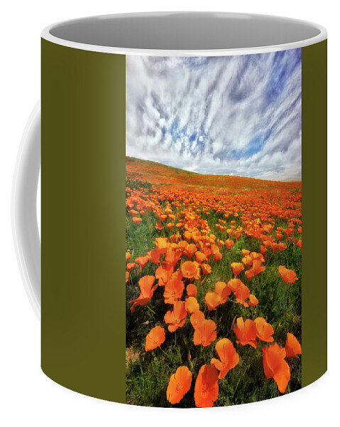 Antelope Valley Coffee Mug featuring the photograph Field of Flowers by Nicki Frates