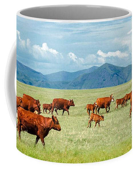 Herd Coffee Mug featuring the photograph Field of Reds by Todd Klassy