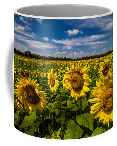 Blue Sky Coffee Mug featuring the photograph Field of Sun by Ron Pate