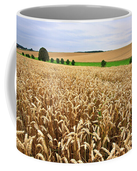 Agriculture Coffee Mug featuring the photograph Field of Wheat by Nailia Schwarz