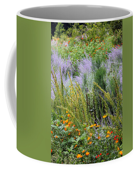 Flowers Coffee Mug featuring the photograph Field Sparkle by Deborah Crew-Johnson