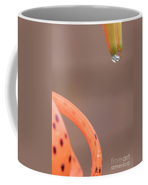 Natanson Coffee Mug featuring the photograph Fifth Dimension by Steven Natanson