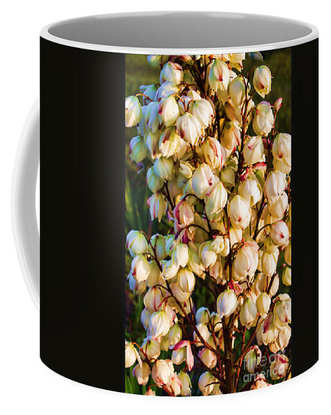 Plant Coffee Mug featuring the photograph Filled with Joy Floral Bunch by Roberta Byram