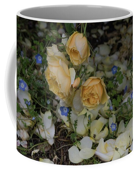 Filoli Coffee Mug featuring the photograph Filoli Floral delight by Patricia Dennis