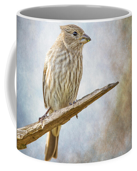 Chordata Coffee Mug featuring the photograph Finch Perched On Blues by Bill and Linda Tiepelman