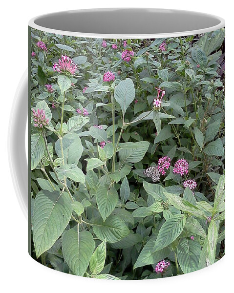 Butterfly Coffee Mug featuring the photograph Find the Butterfly by Pamela Henry