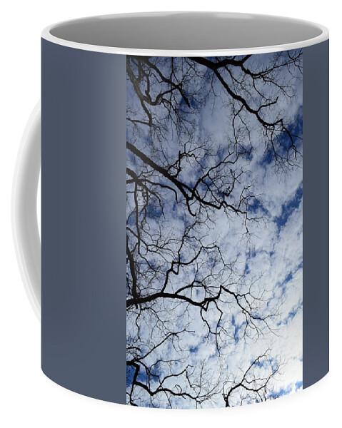Sky Coffee Mug featuring the photograph Fingers in the sky by Stacie Siemsen