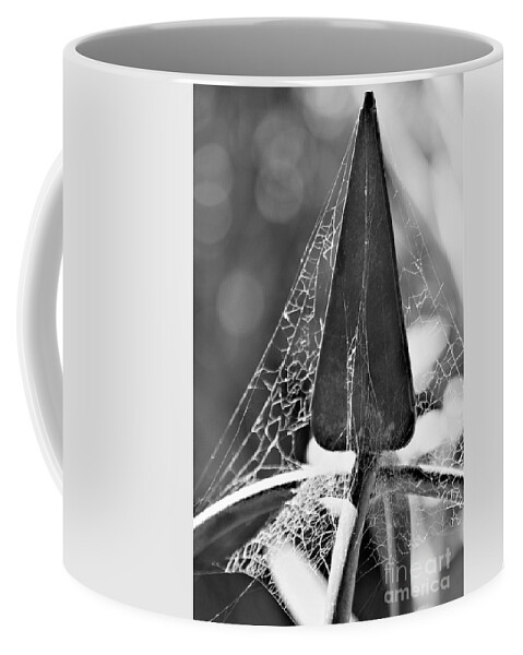 Photograph Coffee Mug featuring the photograph Finial And Webs by Tracey Lee Cassin