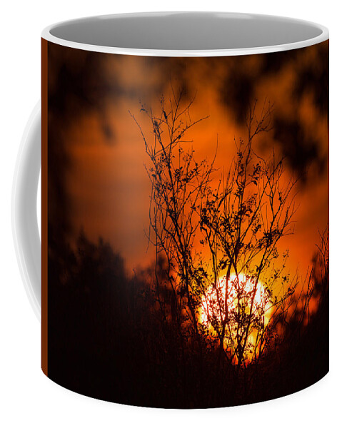 David Eppley Coffee Mug featuring the photograph Fire on the Horizon by David Eppley