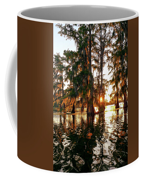 Swamp Coffee Mug featuring the photograph Fire Swamp by Kipleigh Brown