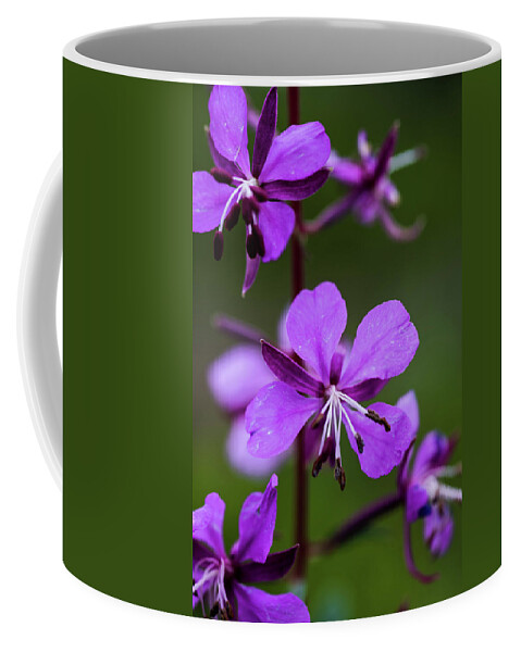 Flower Coffee Mug featuring the photograph Fireweed by Jody Partin