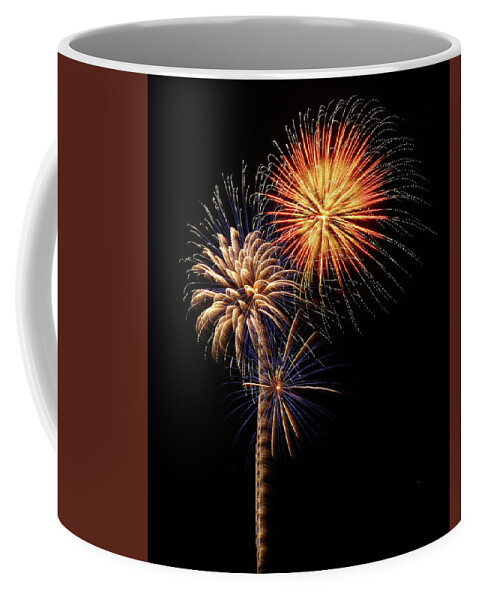 Fireworks Coffee Mug featuring the photograph Firework Eyecandy by Elaine Malott