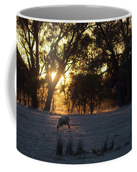 Farm Coffee Mug featuring the photograph First Light by Linda Lees