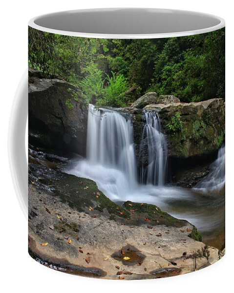 Waterfall Coffee Mug featuring the photograph First sign of Carolina Fall by Chris Berrier